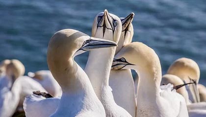 改则最新公积金卡提取现金方法app方法分析(最方便真实的改则公积金卡怎样从手机里取出来?方法)