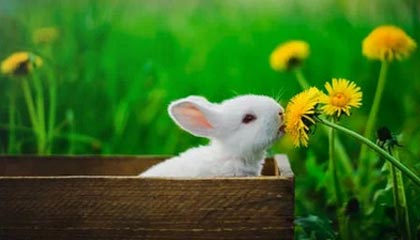 改则最新公积金卡换取现金秒到账方法分析(最方便真实的改则公积金卡钱取出来了卡会多久失效方法)